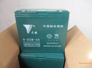 電動助力車蓄電池選購指南 聚焦天能與超威48V20Ah電池